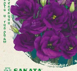 Эустома (лизиантус) Эхо голубая F1