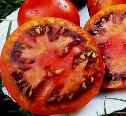 Томат Поль Робсон