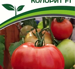 Томат Колорит F1