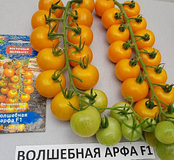Томат Волшебная арфа F1