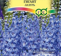 Дельфиниум супермахровый Новозеландский гигант лазурь