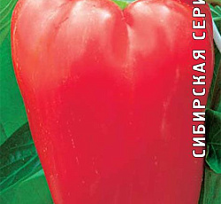Перец сладкий Викинг