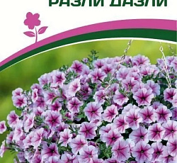 Петуния "Зацветет" Long Разли Дазли F1 многоцветковая ампельная