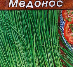 Лук шнитт Медонос