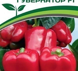 Перец сладкий Губернатор F1