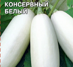 Кабачок Консервный белый