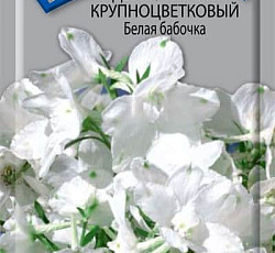 Дельфиниум крупноцветковый Белая бабочка