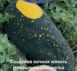 Арбуз Звезда