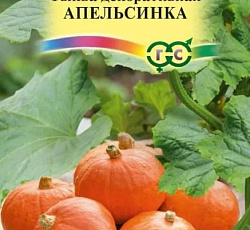Тыква декоративная Апельсинка