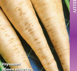 Цикорий корневой Петровский