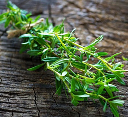 Чабер садовый Ароматный