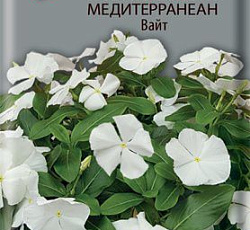 Катарантус ампельный Медитерранеан Вайт