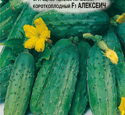 Огурец Алексеич F1