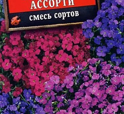 Обриета Фруктовое ассорти смесь сортов