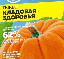 Тыква Кладовая здоровья