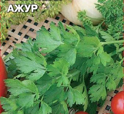 Петрушка листовая Ажур