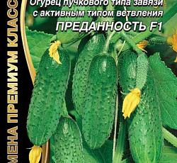 Огурец Преданность F1