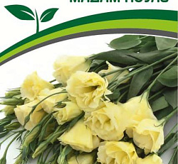 Эустома F1 срезочная махровая Мадам Ноулз