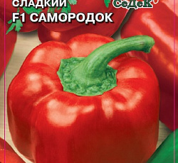 Перец сладкий Самородок F1