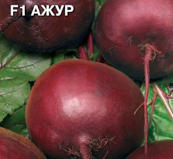 Свекла Ажур F1