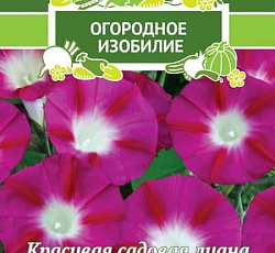 Ипомея Кармелита