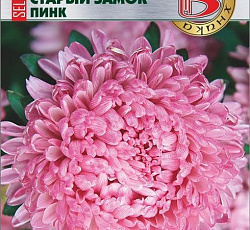 Астра китайская Старый замок селект Пинк
