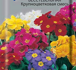 Примула Бесстебельная Крупноцветковая смесь