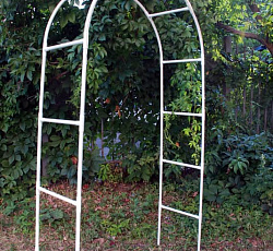 Арка садовая для вьющихся растений (100х200 см)