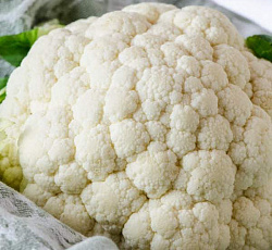 Капуста цветная Сноуболл 123