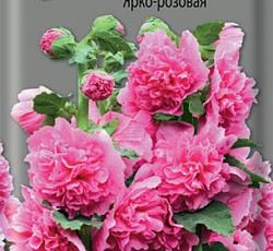 Шток-роза Ярко-розовая