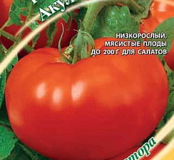 Томат Акулина