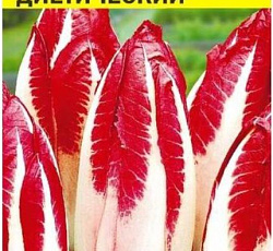 Салат цикорий Диетический (кочанный)