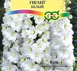 Дельфиниум супермахровый Новозеландский гигант белый
