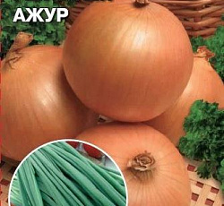 Лук репчатый Ажур