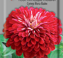 Цинния георгиноцветковая Супер Йога Вайн