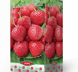 Клубника (земляника) садовая Эльсанта