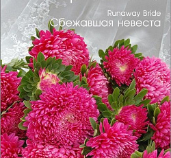 Астра китайская Хризантелла Сбежавшая невеста