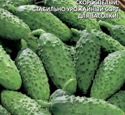 Огурец Бочковой в засол