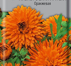 Календула низкорослая Ириска Оранжевая