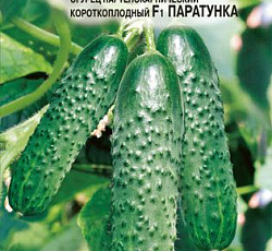 Огурец Паратунка F1