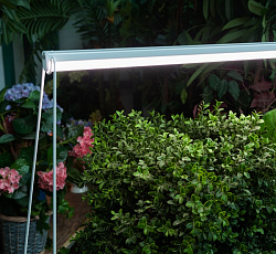 Светильник для растений светодиодный 18 Вт, 560 мм (SPFR для фотосинтеза)