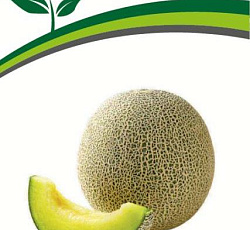 Дыня Сладкая красавица F1