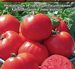 Томат Малиновая рапсодия