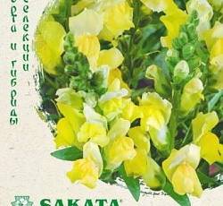 Антирринум (Львиный зев) Флорал Шауэрс желтый