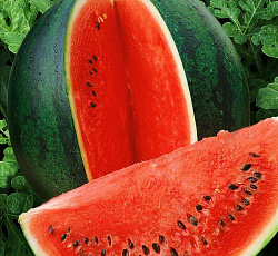 Арбуз Сахарный малыш