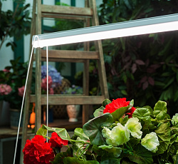 Светильник для растений светодиодный 35 Вт, 1150 мм (SPFR для фотосинтеза)