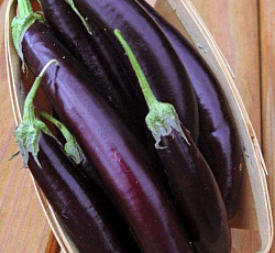 Баклажан Длинный фиолетовый