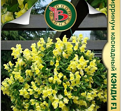 Антирринум каскадный Кэнди F1 Ело