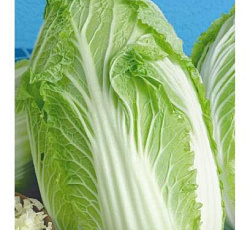 Капуста пекинская Бокал