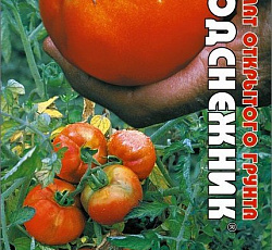 Томат Подснежник